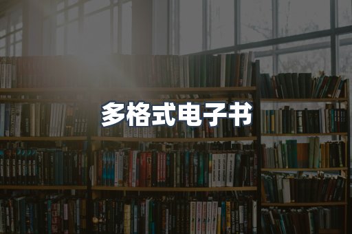 多格式电子书